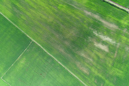Green rice Fileds aerial view Thailand countryside