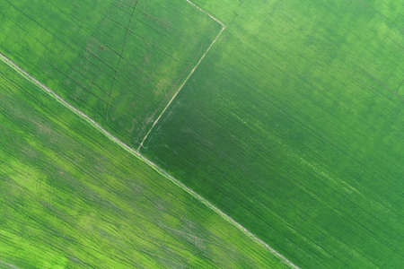 Green rice Fileds aerial view Thailand countrysideの写真素材