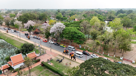 Tourists ride an elephant through the streets of Ayutthaya cultural.の写真素材