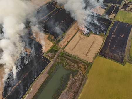 Climate change, Agriculture burning release carbonの写真素材
