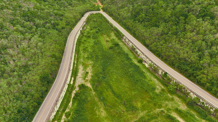 Aerial view of a road in the middle of the forest. Top view of asphalt road through forest with car...