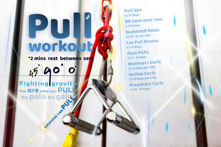 Poster Free weights workout style. Pull day workout routines. it is easy style and very popular in...