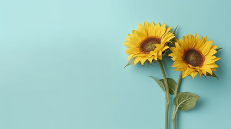 In the sunny environment, two sunflowers. Shadowed light blue backdrop. GENERATE AIの素材