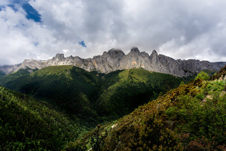mountain stone jungle and skyの写真素材