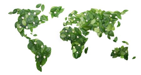 Fresh green leaves in the shape of World on a white background.の写真素材