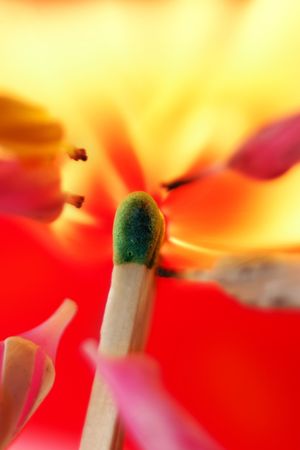 Exploding match. Burning match on a red background.の写真素材