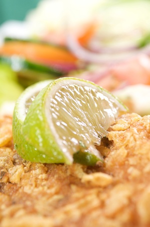Vienna Schnitzel with Lemon Slice. close up.の写真素材