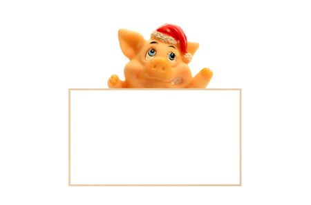 pig with cardの写真素材