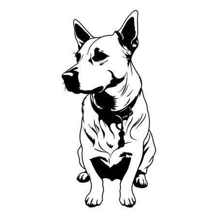 Bull Terrier dog isolated on a white background. Vector illustration. Dog Black Silhouette Isolated. black and white dog graphics. Dog Silhouettes Stock Illustrations.のイラスト素材