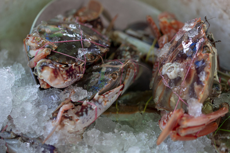 Image of crabs sold in the market, Thailandの写真素材