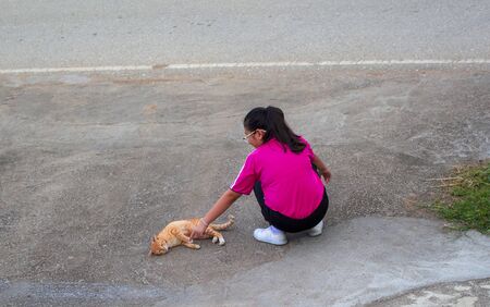 Friends with cats, girls with little cats. Friendsの写真素材