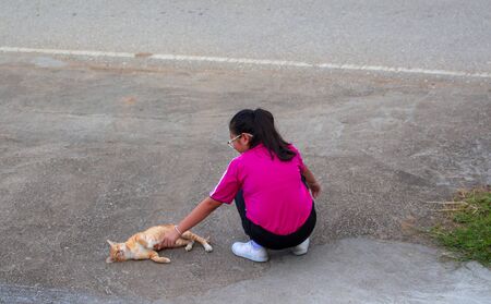 Friends with cats, girls with little cats. Friendsの写真素材
