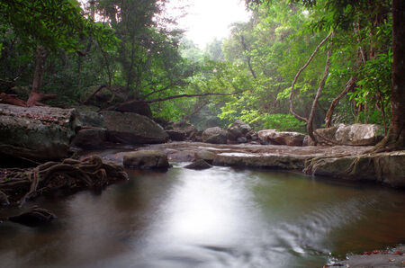 waterfall in the wood