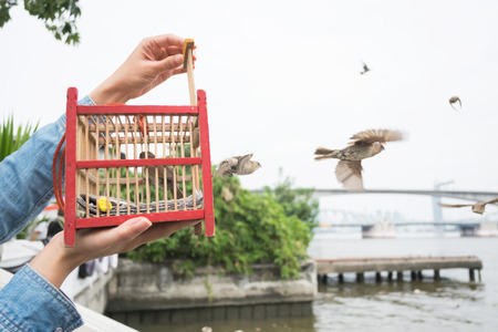 Hand holding a bird cage for liberation to freedom.の写真素材