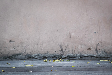 Old concrete wall With dried leaves.の写真素材