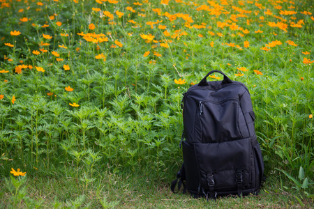 Black backpack in Yellow flowers Garden. Selective focus.の写真素材