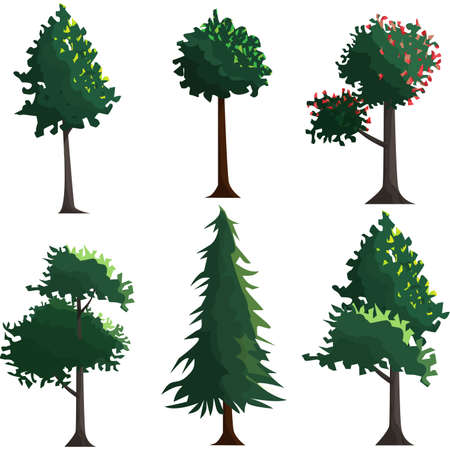 Various types of cartoon trees isolated on white background. Nature landscape illustration.のイラスト素材