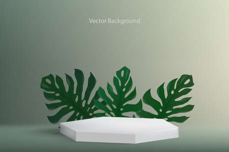 White hexagon shape on light navy green background with green leaves like monstera plant. Backdrop concept for products display in fresh and cool atmosphere. Illustration 3D rendering.のイラスト素材