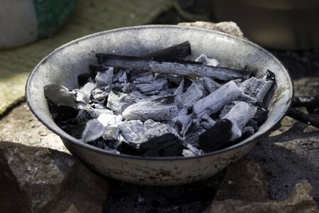 Young birch branch in fireの写真素材