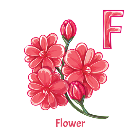 Vector alphabet letter F. Flowerのイラスト素材