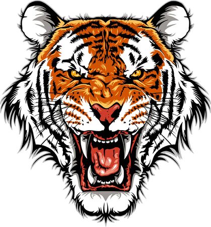 Angry Tiger head for logo design or Tshirt design. Tiger head illustration for Apparel design.のイラスト素材