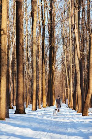 Two sisters in winter clothes. It is winter and snow. Children run through the winter forest with a dog.の写真素材