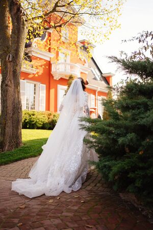 bride in white dress back view on a green lawn and the houses. Walk and photo session of the brideの写真素材
