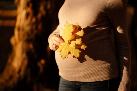 the midsection of pregnant woman with yellow autumn leaves in the handsの写真素材