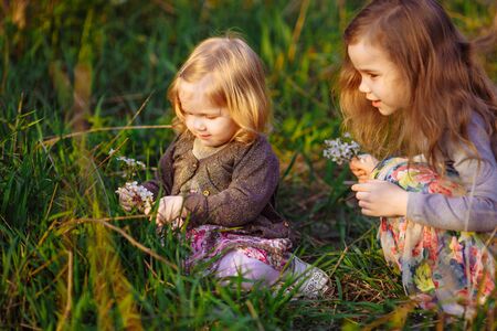two little girls with blond hair sitting in the grass with a blossoming twig in his hands. warm spring and blossom.の写真素材