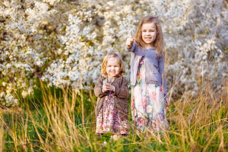 two happy little girls with blond hair in the thickets of blooming bushes with twigs in his hands. warm spring and blossom.の写真素材