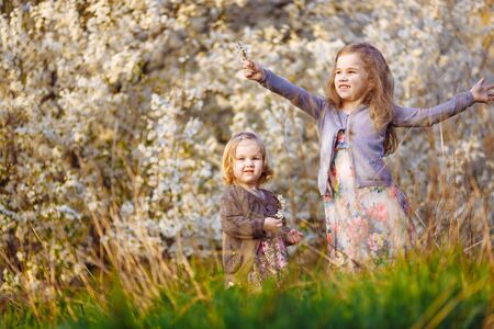 two happy girls with blond hair in the thickets of blooming bushes with twigs in his hands. warm spring and blossom.の写真素材