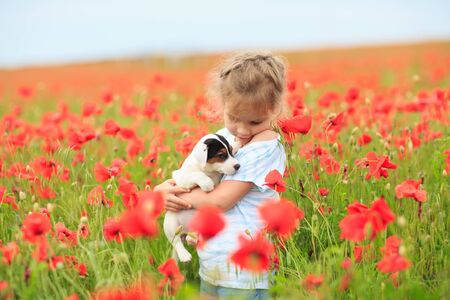Beautiful little girl with puppy Jack Russel Terrier in a field of poppies Sunny weather.の写真素材
