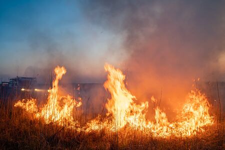 burns dry grass, in the sky, the smoke and soot. the environmental problem.