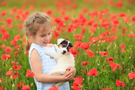 Beautiful little girl with puppy Jack Russel Terrier in a field of poppies Sunny weather.の写真素材