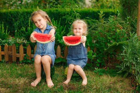 Little girls sitting on watermelon and keep the pieces in hand on lawn in courtyard of country house in village in summer. the harvest of watermelonsの写真素材
