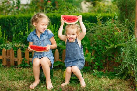Little girls sitting on watermelon and keep the pieces in hand on lawn in courtyard of country house in village in summer. the harvest of watermelonsの写真素材