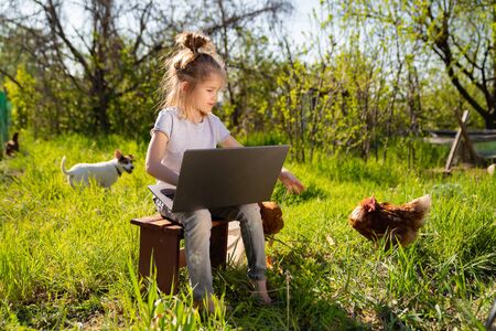 Little girl schoolgirl with chickens and laptop in village, in nature. Kid out of town with computer. Children in country is learning, studying, working via the Internet. Remote education.の写真素材