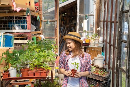 Adorable teen girl kid in the hat with seedlings in the greenhouse at spring seasonal garden works. Little helperの写真素材