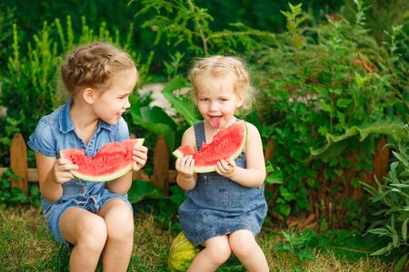 Little girls sitting on watermelon and eating the pieces in hand on lawn in courtyard of country house in village in summer. the harvest of watermelonsの写真素材