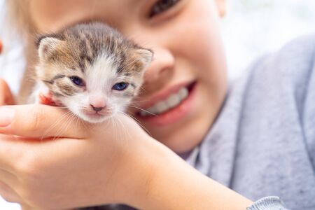 newborn kitten in hands of a small girl. the homeless animals. care and pet care.の写真素材