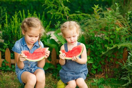 Little girls sitting on watermelon and eating the pieces in hand on lawn in courtyard of country house in village in summer. the harvest of watermelonsの写真素材