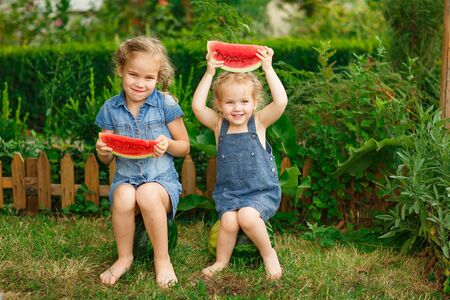 Little girls sitting on watermelon and keep the pieces in hand on lawn in courtyard of country house in village in summer. the harvest of watermelonsの写真素材