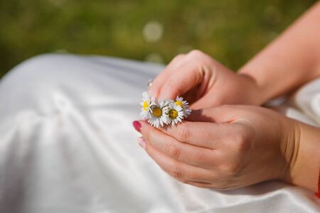 female hands holding a small bouquet of daisies. the gift of the groom. romance.の写真素材