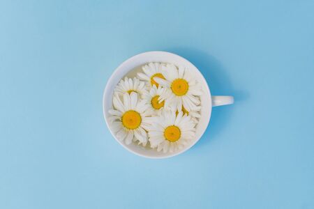 Cup with daisies on a blue background. therapeutic soothing tea. the concept of natural medicines and cosmetics. copy space.の写真素材