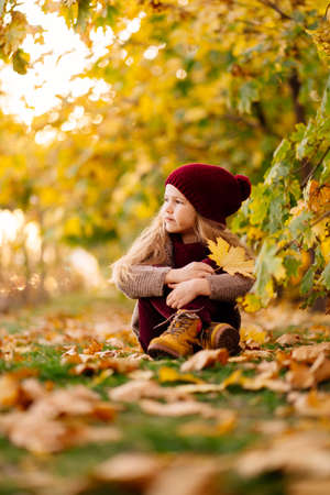the little girl in the hat sitting on the ground under the trees in autumn Park with maple leaf in his hand.の写真素材
