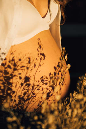belly of a pregnant woman with a shadow of dried flowers. beautiful and happy pregnancy. nature...