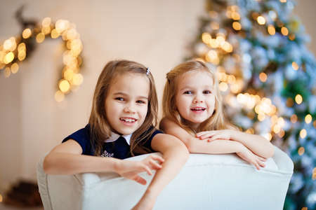 two funny little girls in a chair on the background of a Christmas tree. new year celebration with children. sisters on winter vacation. leisure with kids. traditional annual photo shoot.の写真素材