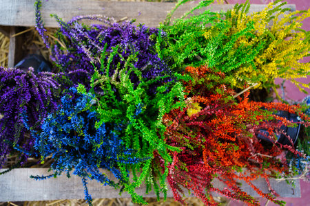 flower background. colorful, bright flowers on the lawn in the park.の写真素材