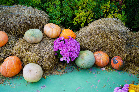 autumn scenery in the garden or park for Halloween.の写真素材