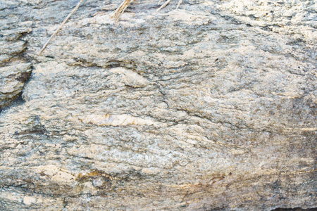 the texture of the stone. grey stone wall. gray background.の写真素材